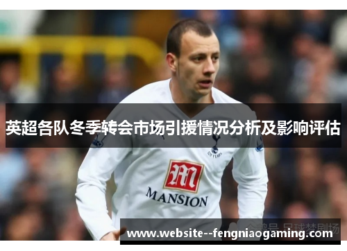 英超各队冬季转会市场引援情况分析及影响评估