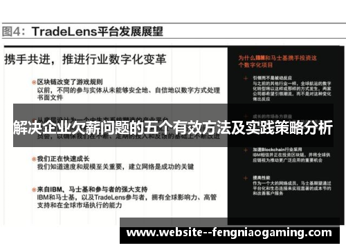 解决企业欠薪问题的五个有效方法及实践策略分析 解决企业欠薪问题的五个有效方法及实践策略分析