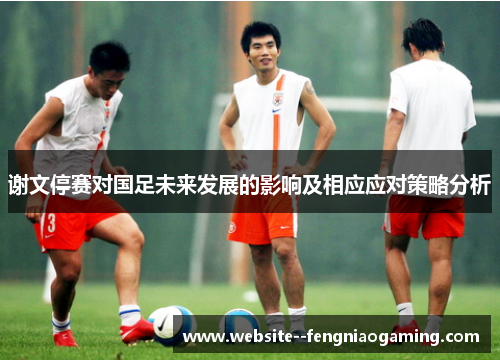 谢文停赛对国足未来发展的影响及相应应对策略分析