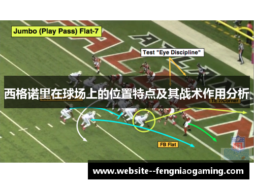 西格诺里在球场上的位置特点及其战术作用分析 西格诺里在球场上的位置特点及其战术作用分析