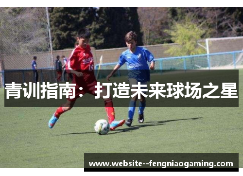 青训指南:打造未来球场之星 青训指南:打造未来球场之星